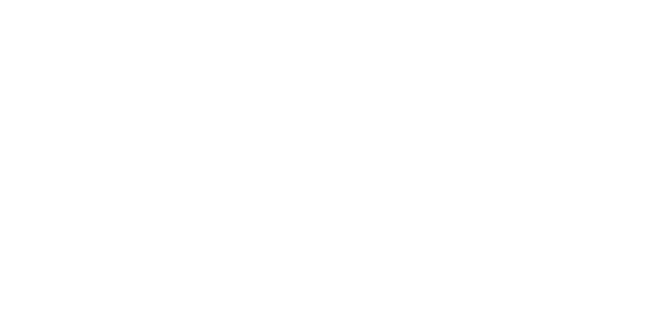 acer2