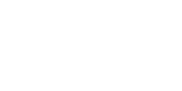 sti22